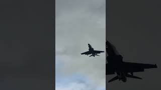 hawk eye ☺️#short #hawk #topgun #fighterjet