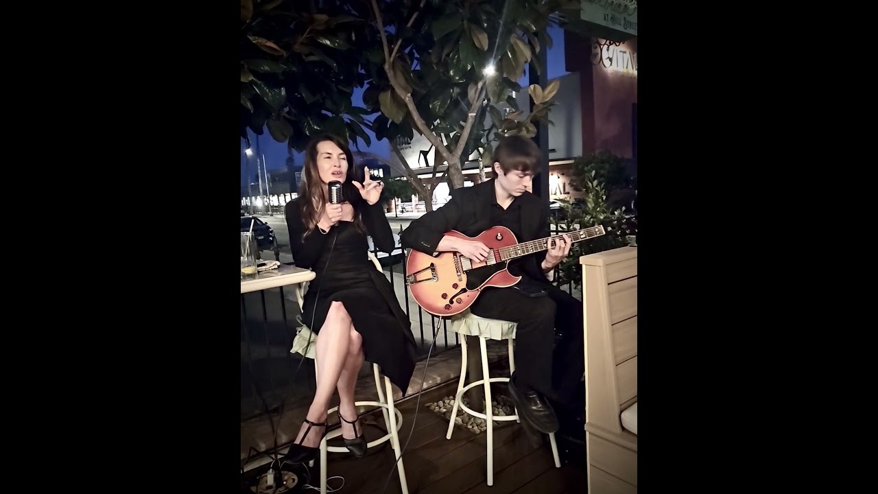 Promotional video thumbnail 4 for The Davies Jazz Duo/Trio/Quartet