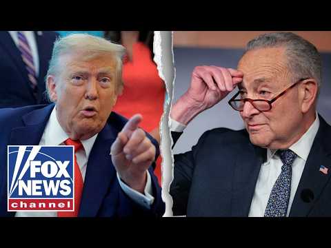 Schumer LASHES OUT at Trump: 'In an EFFING BUBBLE!'
