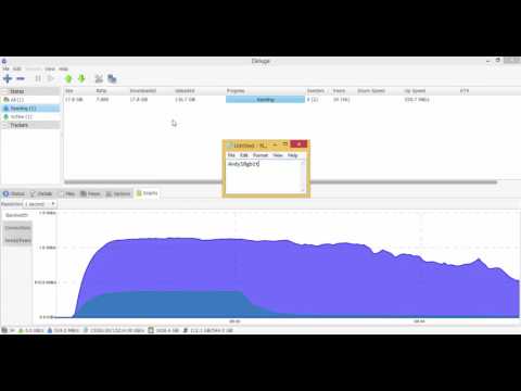 What'S The Max Speed Your Have Seen Torrents Or Usenet Downloading.