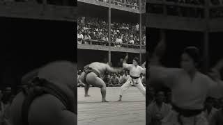 sumo vs