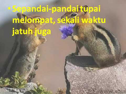 Gratis Download Gambar Peribahasa Novyj Trend Smotret Onlajn Na Sajte Trendovi Ru Terupdate oleh www.cikimm.com