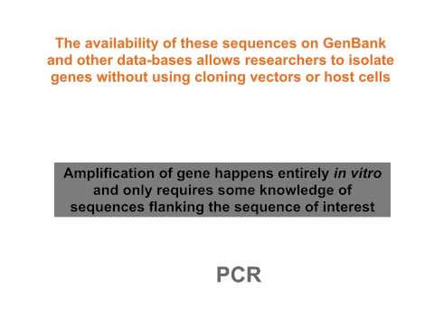 Genetics Ch14 Molecular Techniques Video
