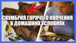 Как коптить рыбу в домашних условиях. Скумбрия горячего копчения в коптильне hanhi 20л в деревне.