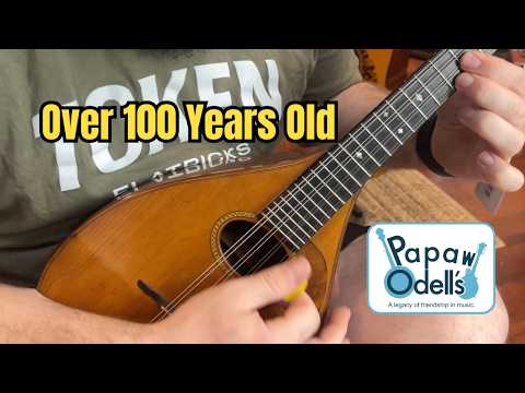 Martin Style B Mandolin 1921 Bild 25