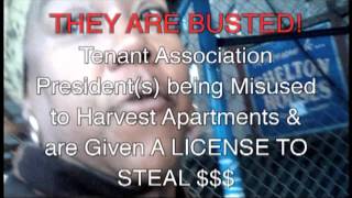 THE SMUG YIDDISH BASTARD MIKE BLOOMBERG, KING OF NYC; DID THIS 2 BLACK PEOPLE & u c it here!