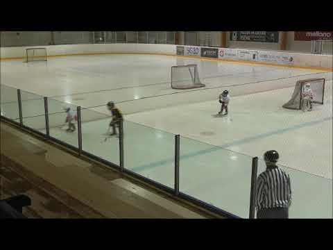 U9 LL-89 - Kalpa P Yellow, 16.01.2021