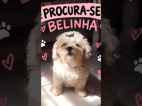 em padre Bernardo ela sumiu ajuda nos encontramos prfv