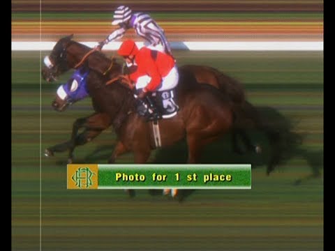 Fergus Sweeney pipped to the post by Kuldeep Singh on Nazaan - RWITC Plate