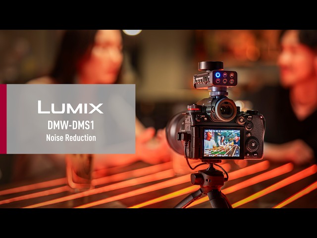Vidéo PANASONIC DMW-DMS1E MICRO