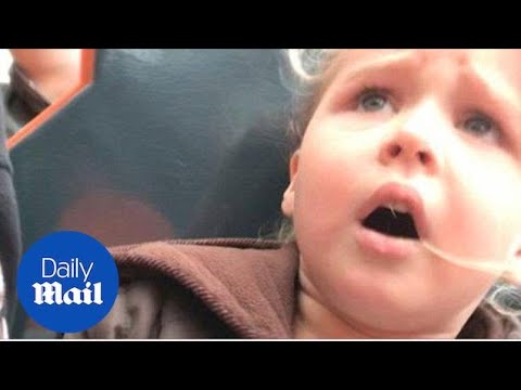 第一次都這樣！4歲女童好奇玩「過山車」　嚇到直飆粗口 | 國際 | 三立新聞網  SETN.COM
