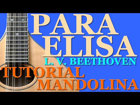 PARA ELISA (Beethoven). Tutorial MANDOLINA.