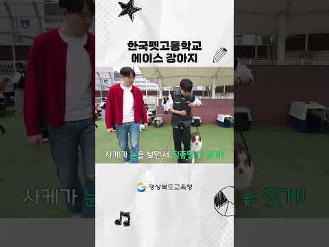 이 구역의 에이스는 나야
