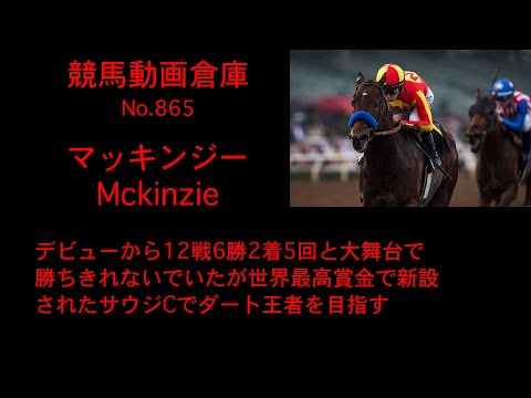 【競馬】マッキンジー　Mckinzie【No 865】