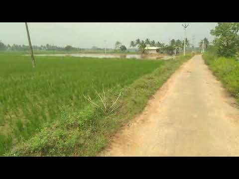  Agricultural Land 4 Acre for Sale in Orathanadu Mukthambalpuram, Thanjavur