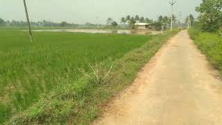  Agricultural Land for Sale in Orathanadu Mukthambalpuram, Thanjavur