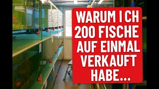 Why I sold 200 fish at once