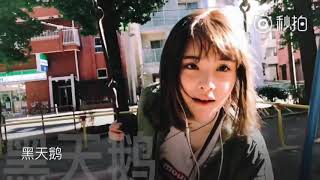 [Vietsub CC] Cát Giai Tuệ | 葛佳慧 Mash up 13 ca khúc của SNH48《MASH THEM UP》
