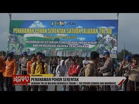 Jajaran TNI AD Wilayah Bengkulu Tanam 1.100 Pohon Mangrove