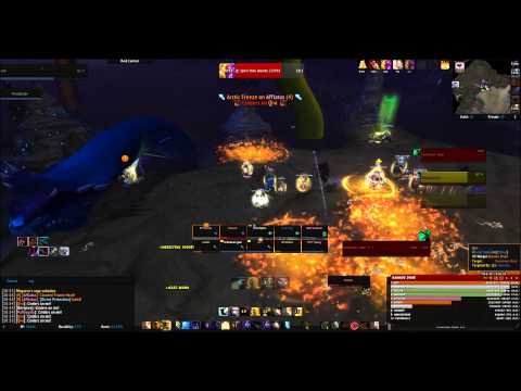 Evitus Stultus - Megaera (10 man)