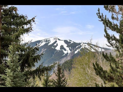 763 Willoughby Way | Aspen, CO - The Agency