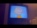 Opening To Little Bear Parties And Picnics 1998 VHS