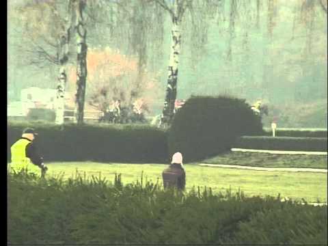 KO, 7. 11. 2015, 5. dostih - CENA SPOLEČNOSTI TEMPOSERVIS CZ a.s. PRAHA