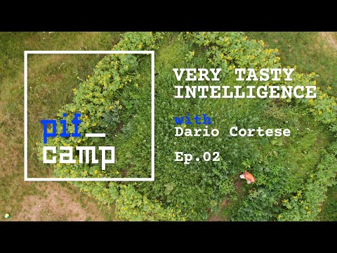 Dario Cortese: Very Tasty Intelligence (episode 2)