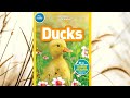 National Geographic For Kids Ducks