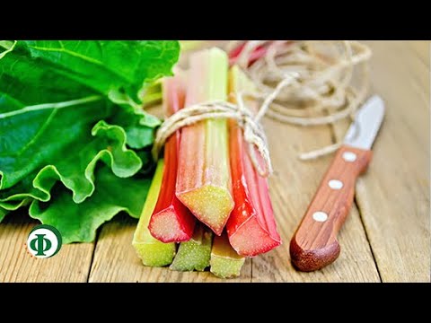 Как еще называют веснушки Отбеливающие крема для лица витекс