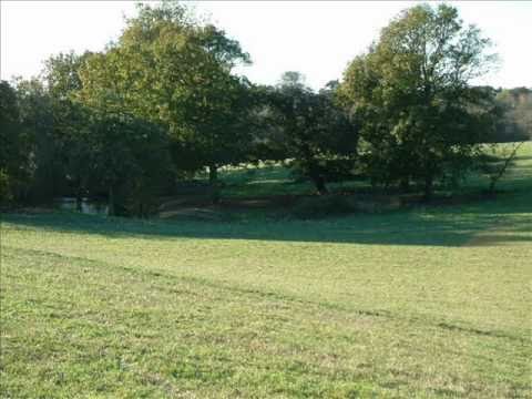 IRENA Vrčkovnik-Pesem o pomladi.