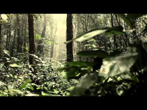 Expedition Guyana - trailer