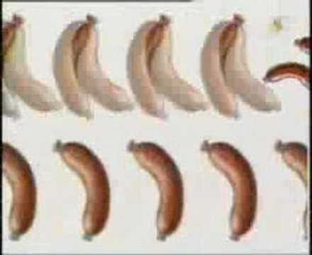 Stephan Remmler - Alles hat ein Ende nur die Wurst hat zwei