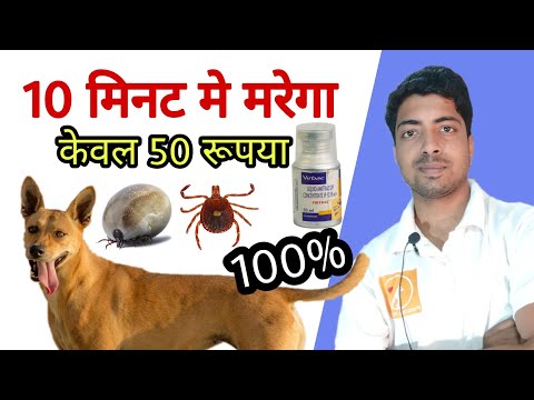 New technology || 100% tick solution in cheap. No shampoo, No power or spot on. 🔥🔥