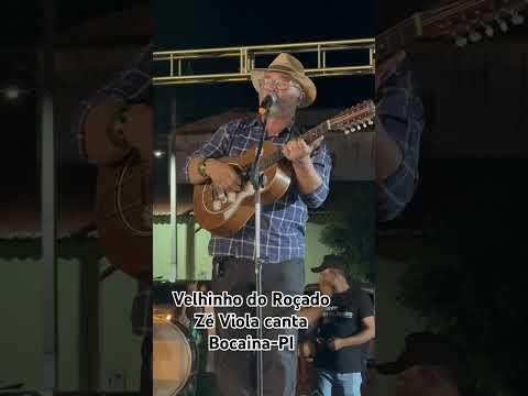 Zé Viola canta a canção -Velhinho do Roçado - Bocaina-PI