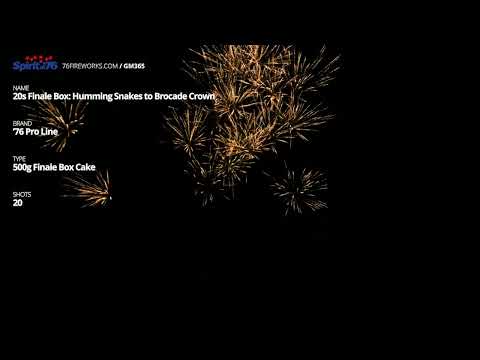 GM365 20s Finale Box Humming Snakes to Brocade Crown - '76 Pro Line - Pre Production