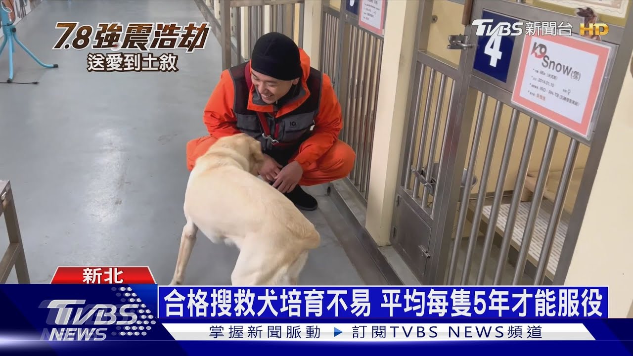 盤點台灣救災能量！消防、國軍、民間緊密結合　共同建立應變體系