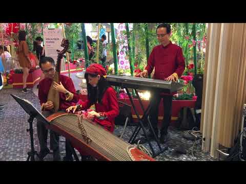2019 feb 5, CNY 1st day, Chinese Orchestra Music, IPC Shopping Centre, Ikano, 2