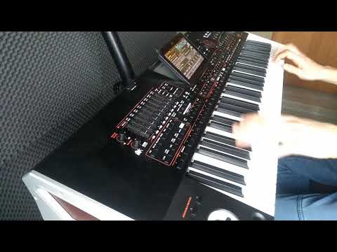 Lian Ross - Say You'll Never cover Korg Pa4x