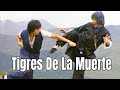 Wu Tang Collection Tigres De La Muerte Two Wondrous Tigers