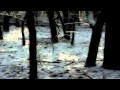 Dråpsnatt - Gasten 
