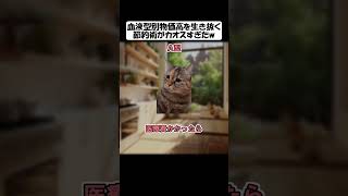 【血液型】物価高を生き抜く節約術がカオスすぎたw🐱【猫ミーム】 #血液型あるある #cat #猫ミーム