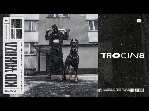 DJ BRK & Miodu - Trocina [Official Audio]