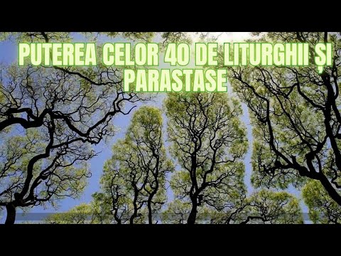 40 de Liturghii și parastase, nu 20 sau 30, se fac pentru cel plecat dincolo! Întâmplare adevărată