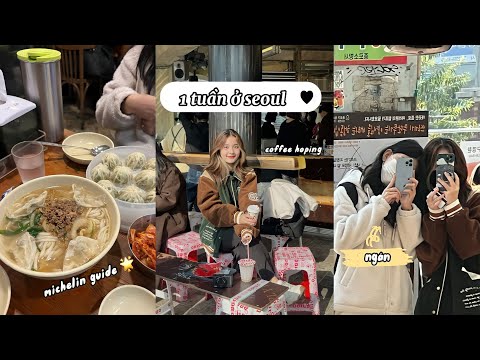 1 tuần ở Seul (guia Michelin, café hopping) | du học hàn quốc 🇰🇷 (eng)