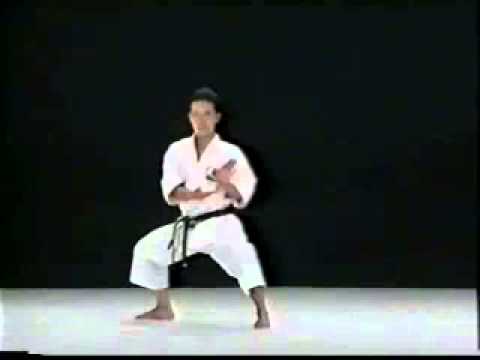 Kata   Seienchin  shito ryu karate