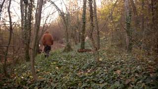 Dream of Italy: Full Piedmont/Lake Iseo Episode