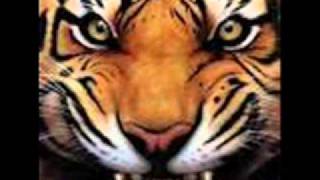 nik og jay elsker hende mere