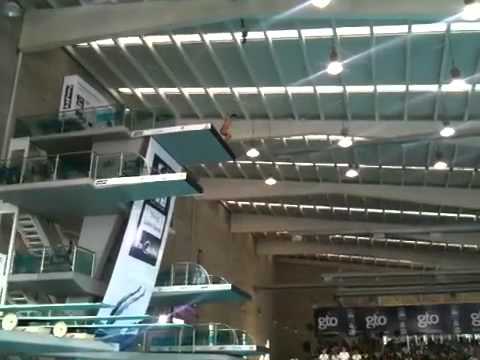 Qui Bo 307c for straight 10's