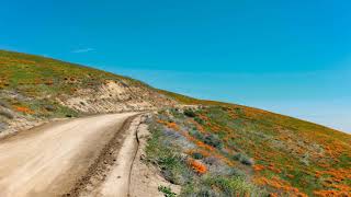 Download lagu Ikson - Blue Sky (Music No Copyright) mp3